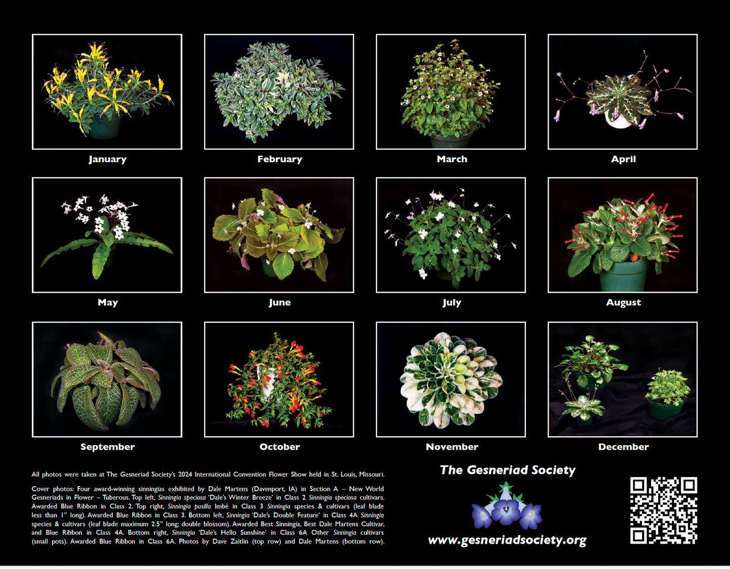 2026 Gesneriad Calendar