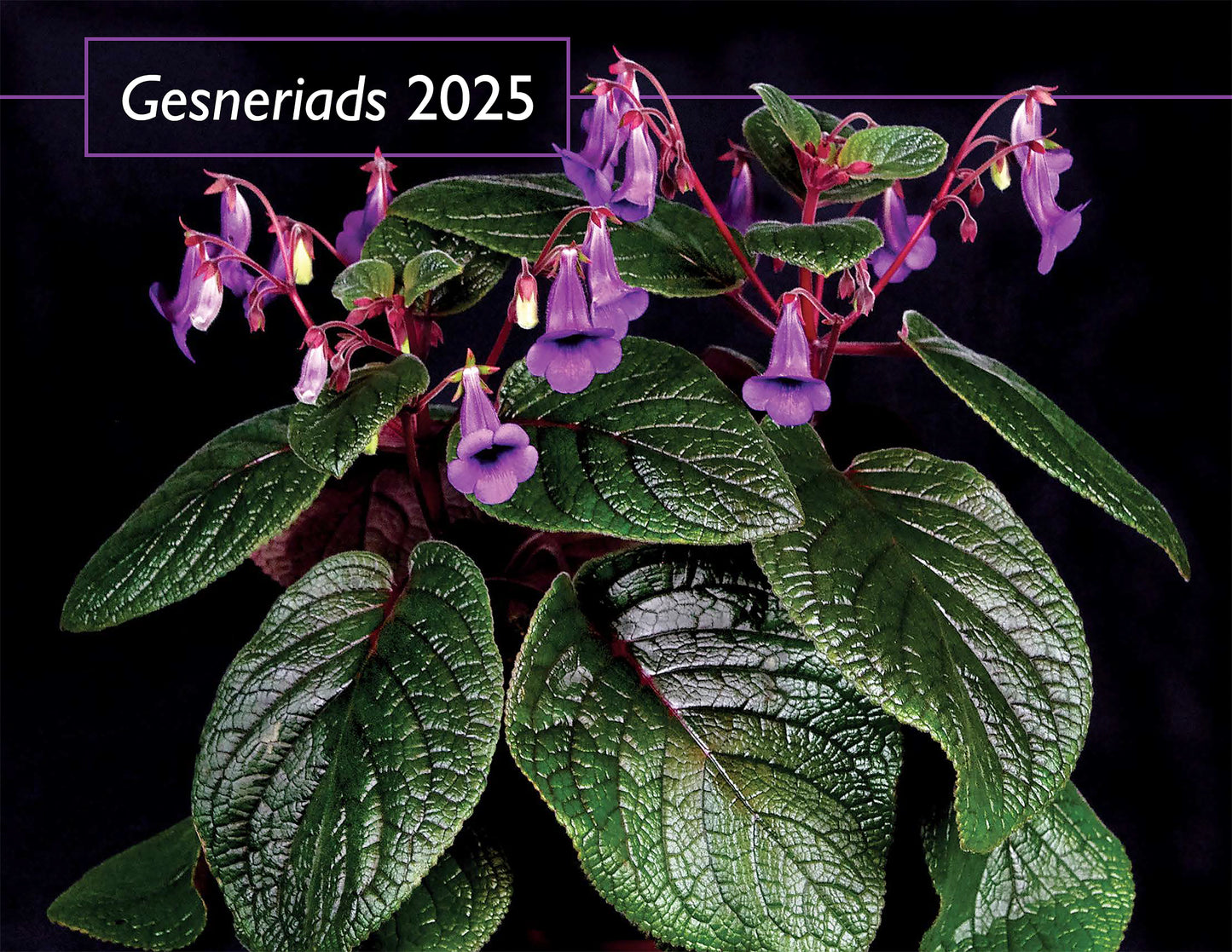 2025 Gesneriad Calendar