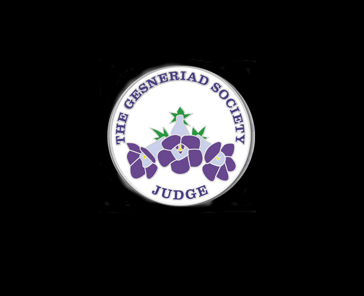 Judges Interest Group