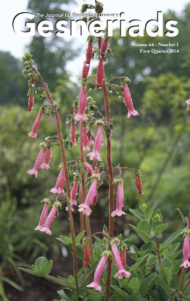 GESNERIADS Vol. 64, No 1 First Quarter  2014