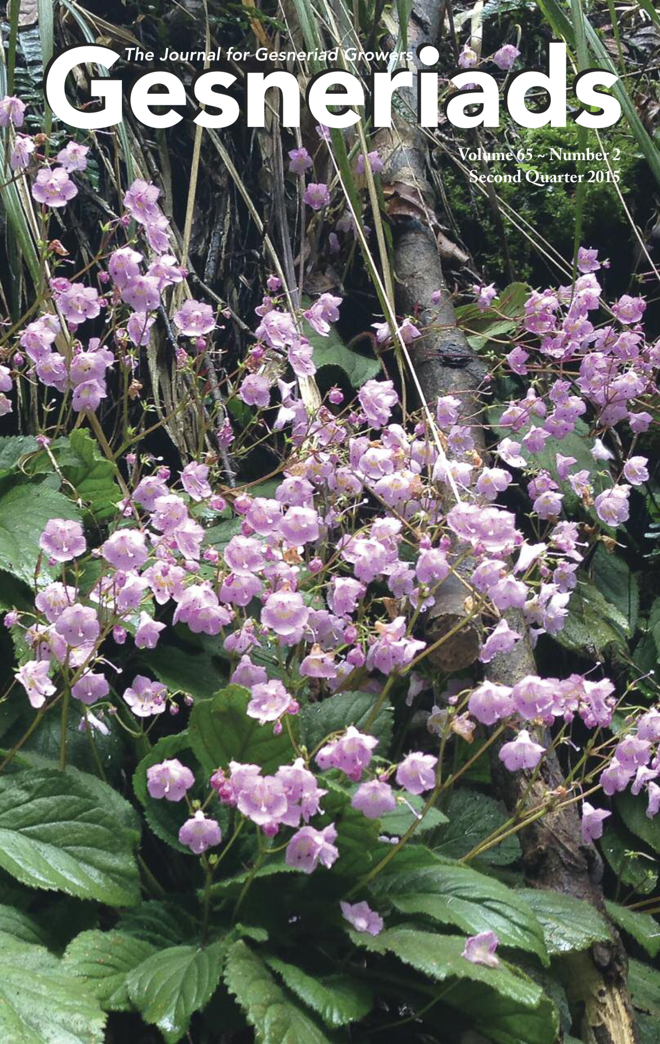 GESNERIADS Vol. 65, No 2 Second Quarter 2015