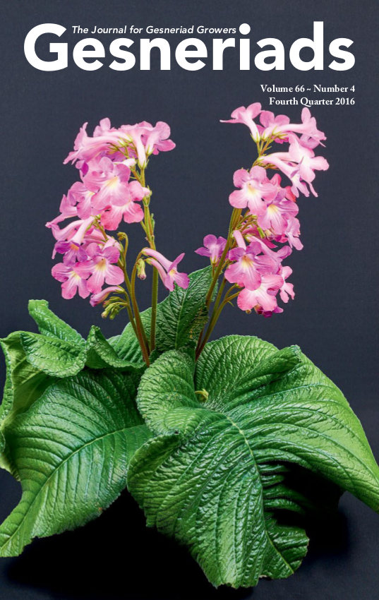 GESNERIADS Vol. 66, No 4 Fourth Quarter 2016