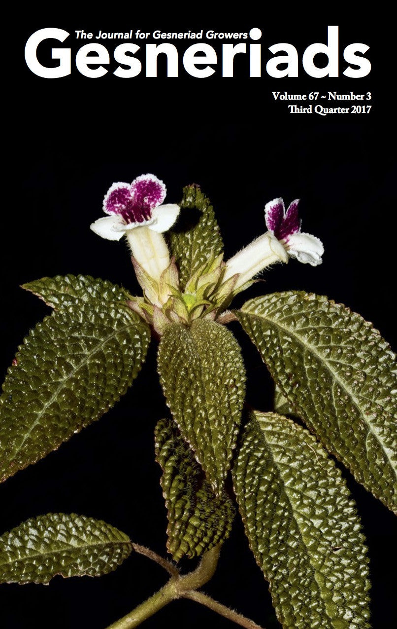 GESNERIADS Vol. 67, No 3 Third Quarter 2017