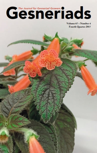 GESNERIADS Vol. 67, No 4 Fourth Quarter 2017