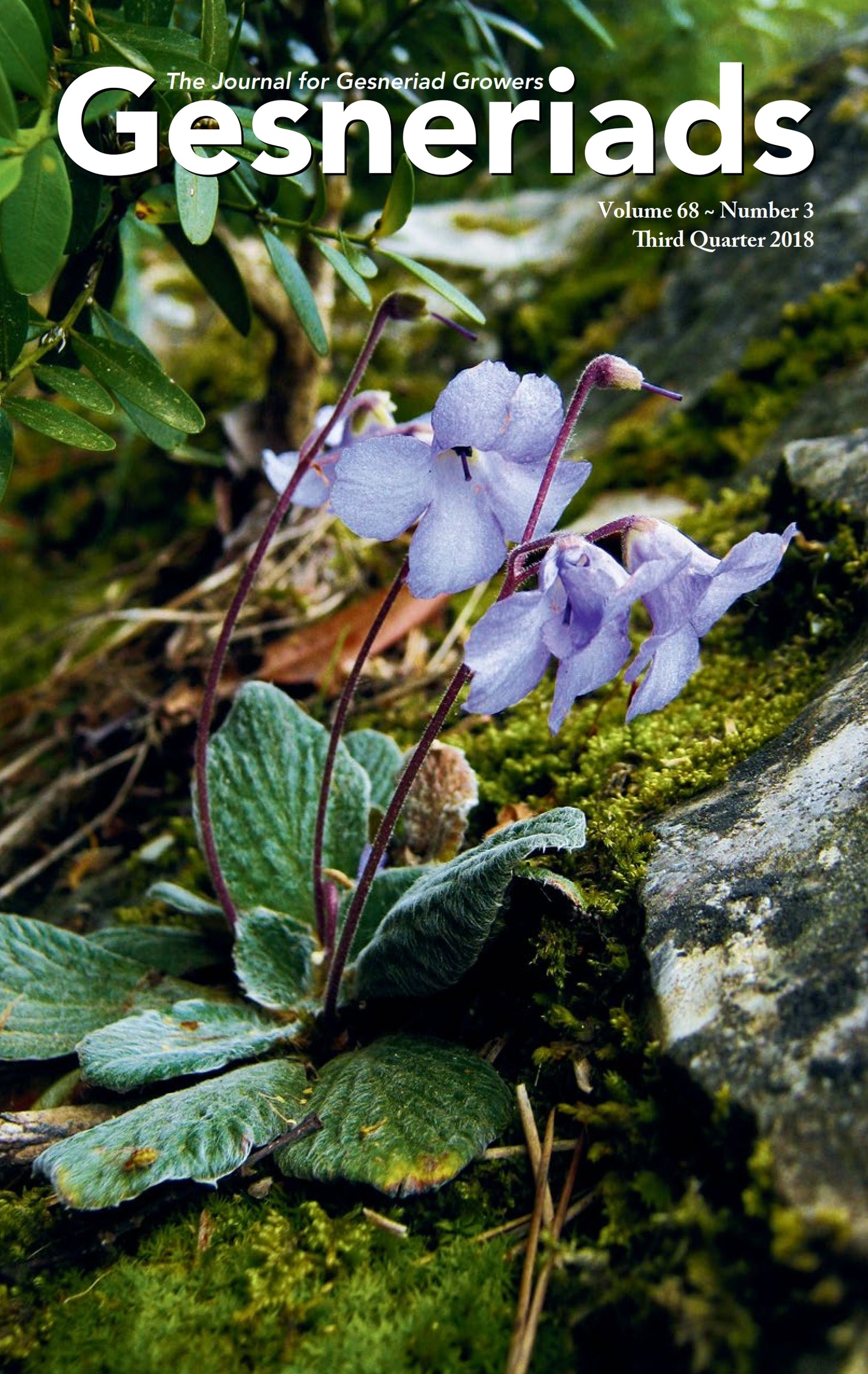 GESNERIADS Vol. 68, No 3 Third Quarter 2018