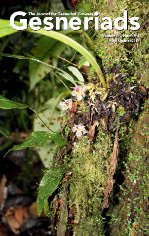 GESNERIADS Vol. 69, No 1 First Quarter 2019