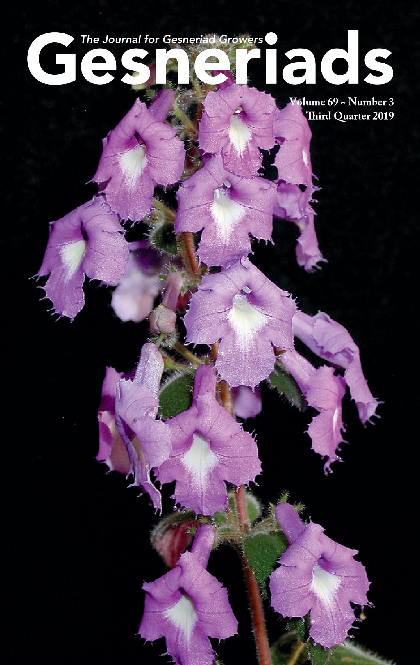 GESNERIADS Vol. 69, No 3 Third Quarter 2019