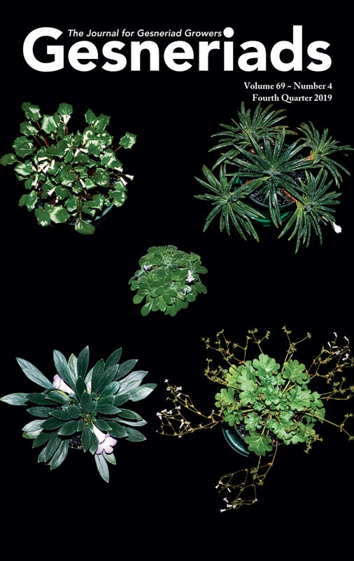 GESNERIADS Vol. 69, No 4 Fourth Quarter 2019