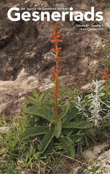GESNERIADS Vol. 63, No 1 First Quarter 2013