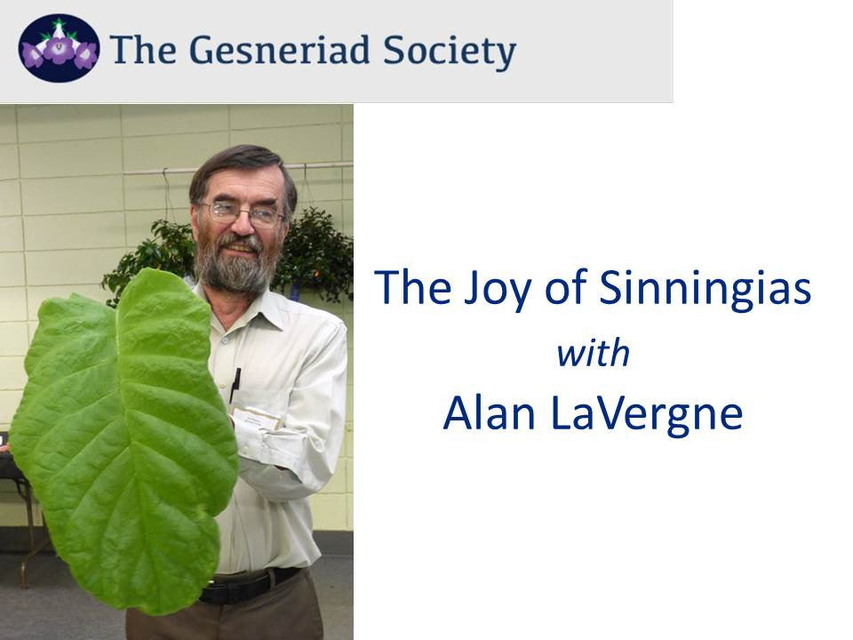 Webinar: Joy of Sinningias*