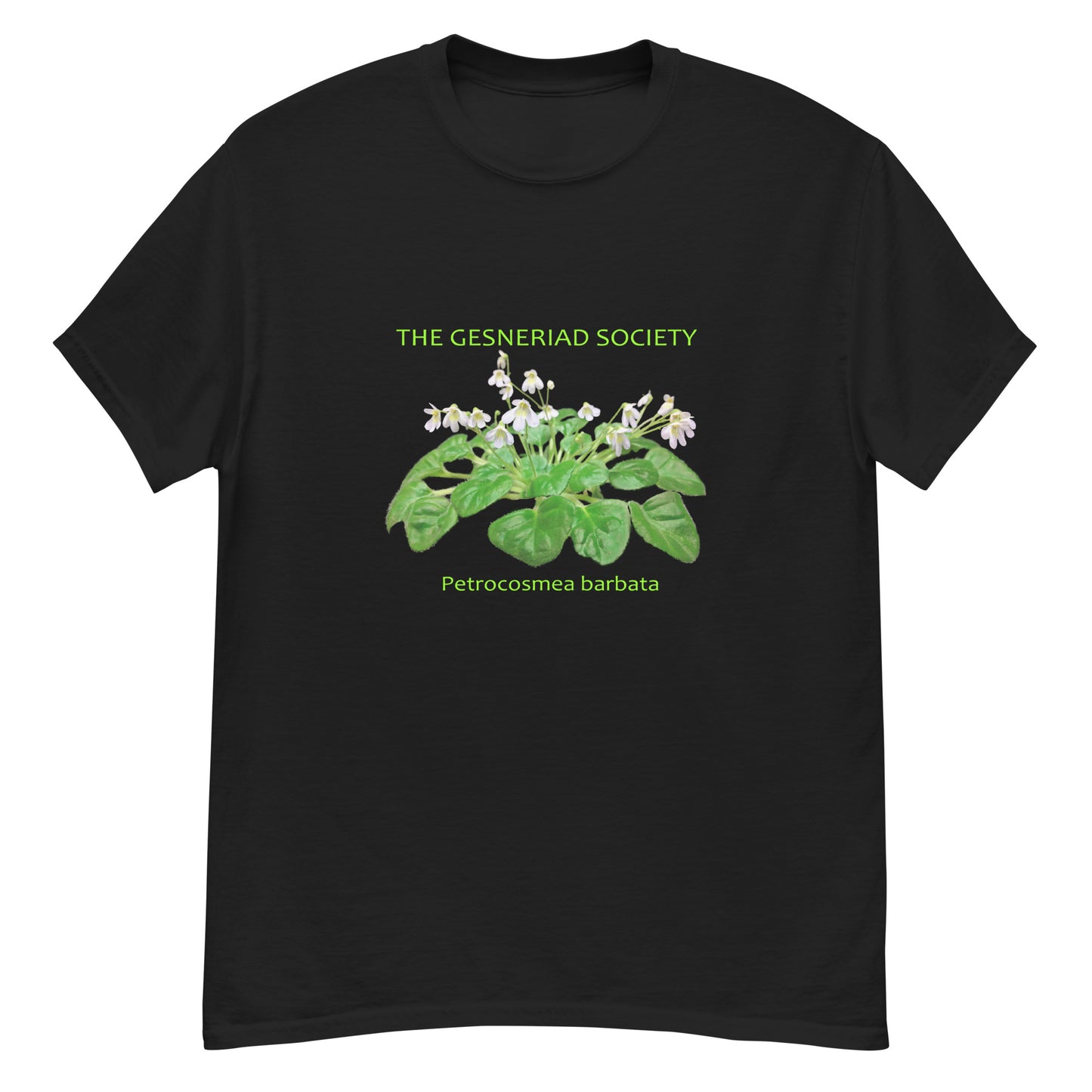 Men T-Shirt with printed Petrocosmea barbata