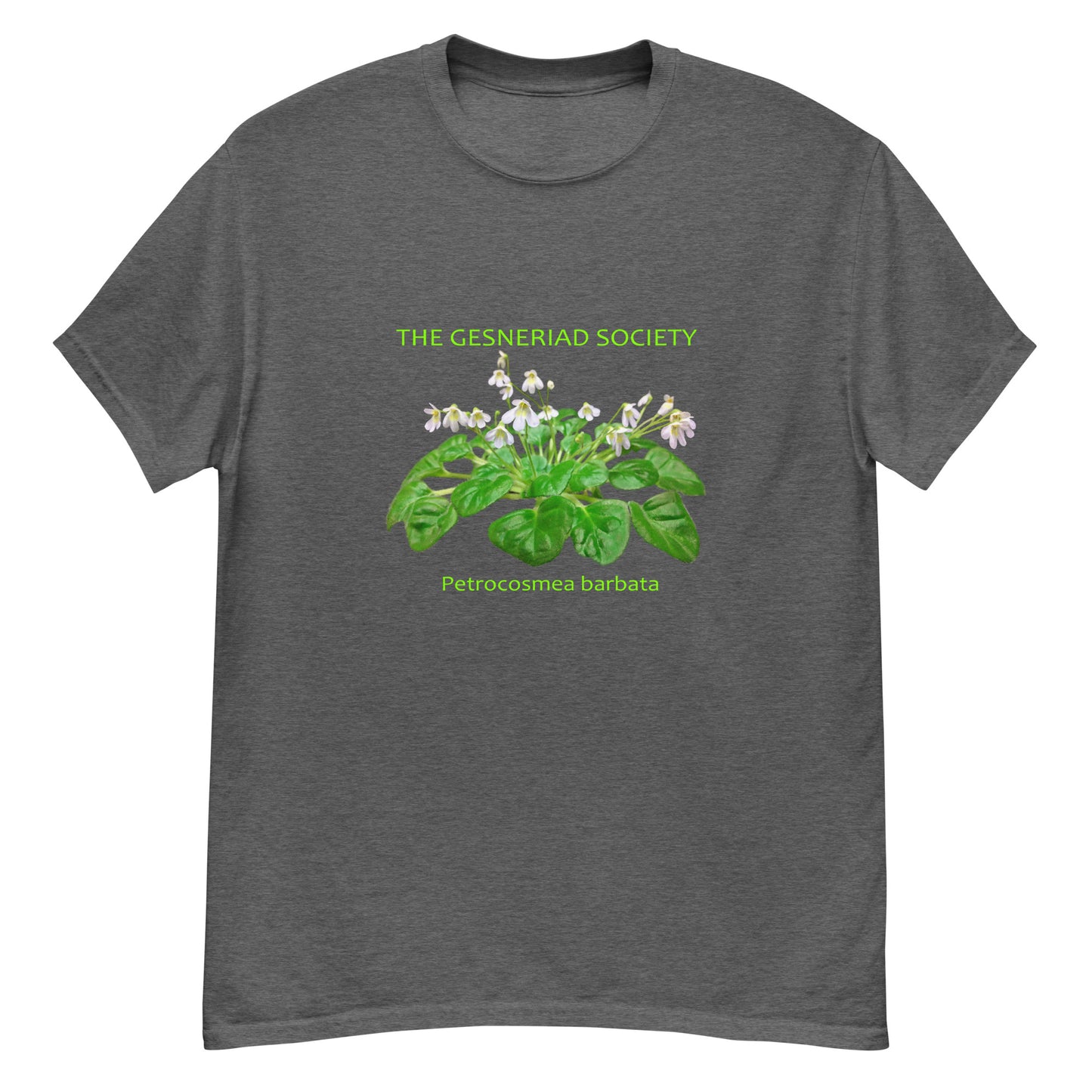 Men T-Shirt with printed Petrocosmea barbata