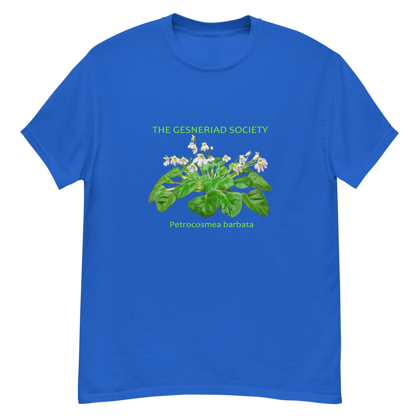 Men T-Shirt with printed Petrocosmea barbata