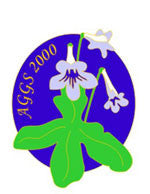 2000 Cloisonné lapel pin