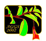 2002 Cloisonné lapel pin