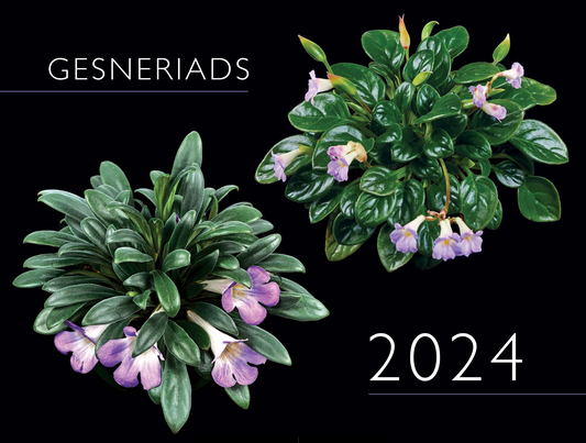 2024 Gesneriad Calendar