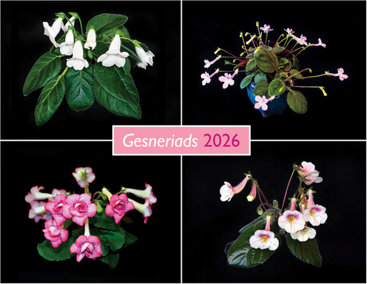 2026 Gesneriad Calendar