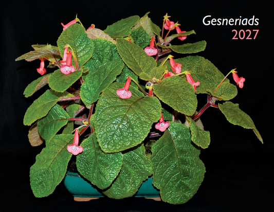 2027 Gesneriad Calendar