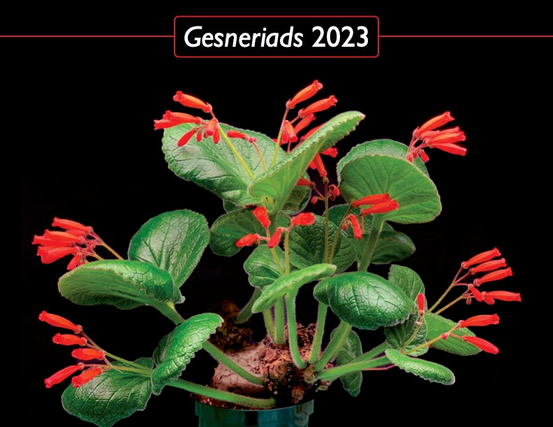2023 Gesneriad Calendar