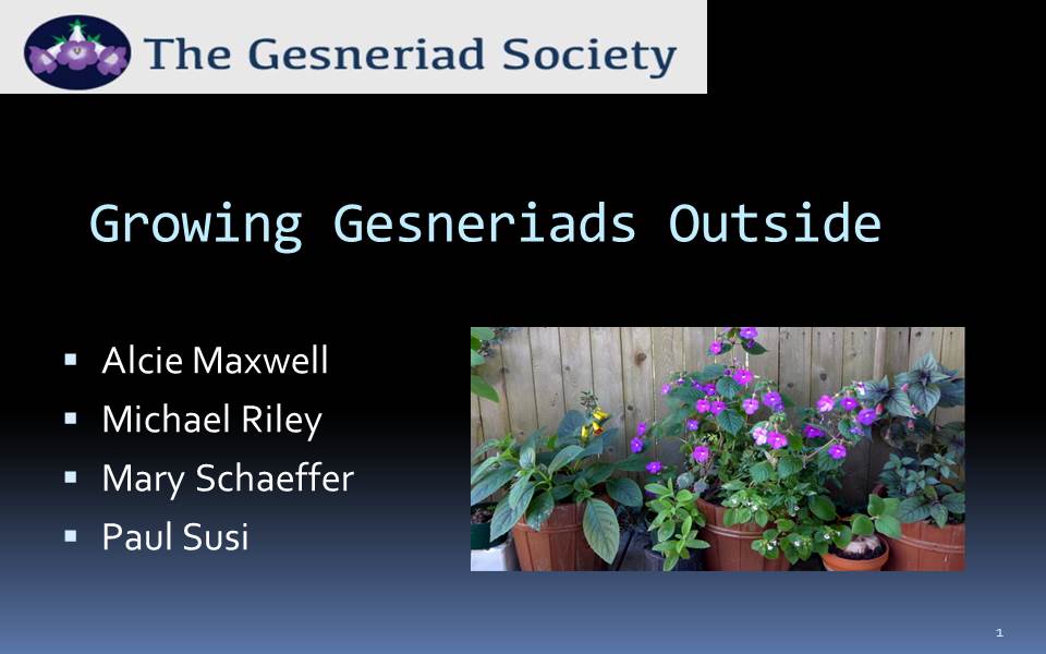 Webinar: Growing Gesneriads Outside*