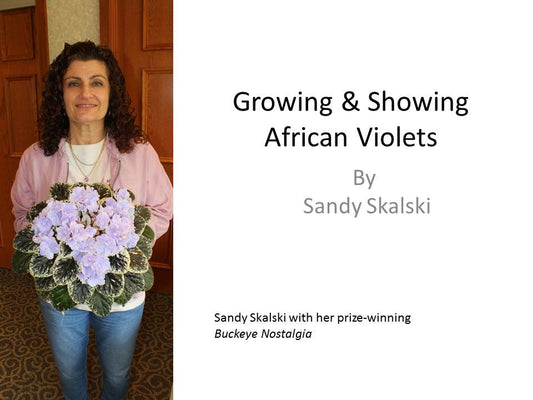 Webinar: Growing and Showing African Violets*