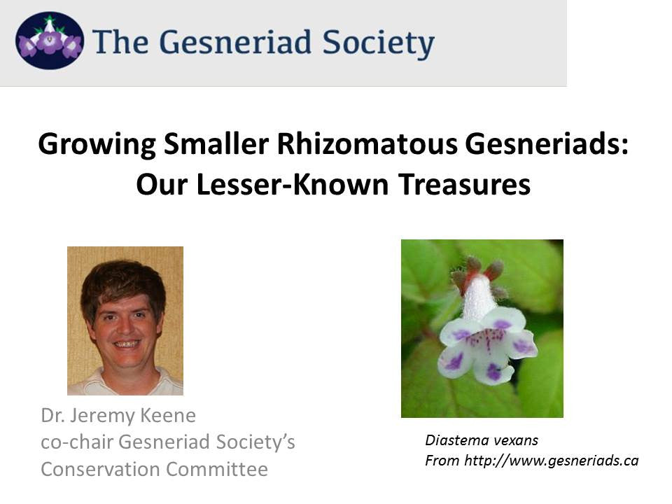 Webinar: Growing Smaller Rhizomatous Gesneriads - Our Lesser-Known Treasures*