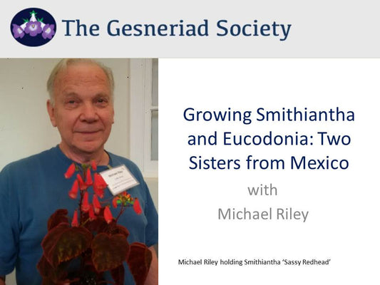Webinar: Growing Smithiantha and Eucodonia*