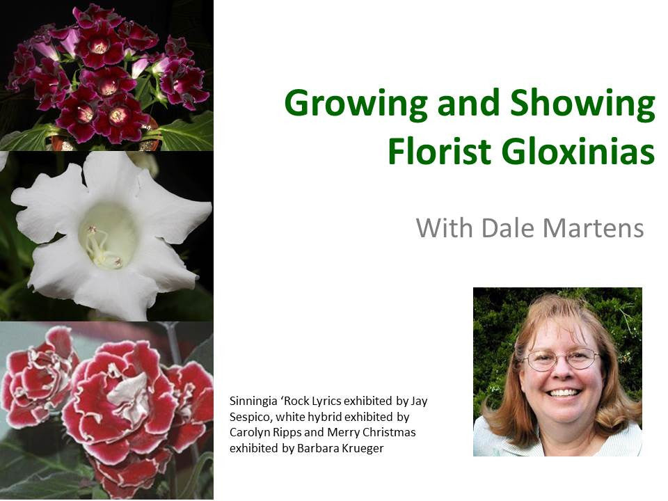 Webinar: Growing and Showing Florist Gloxinias*