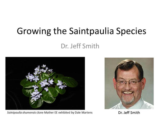 Webinar: Growing Saintpaulia Species