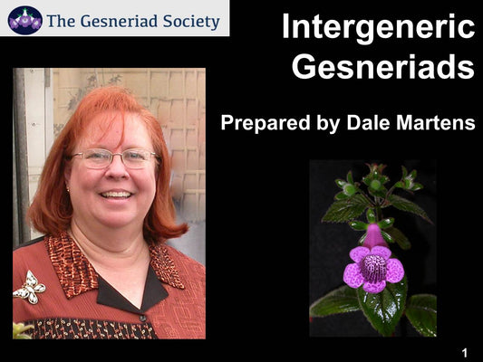 Webinar: Intergeneric Gesneriads with Dale Martens*
