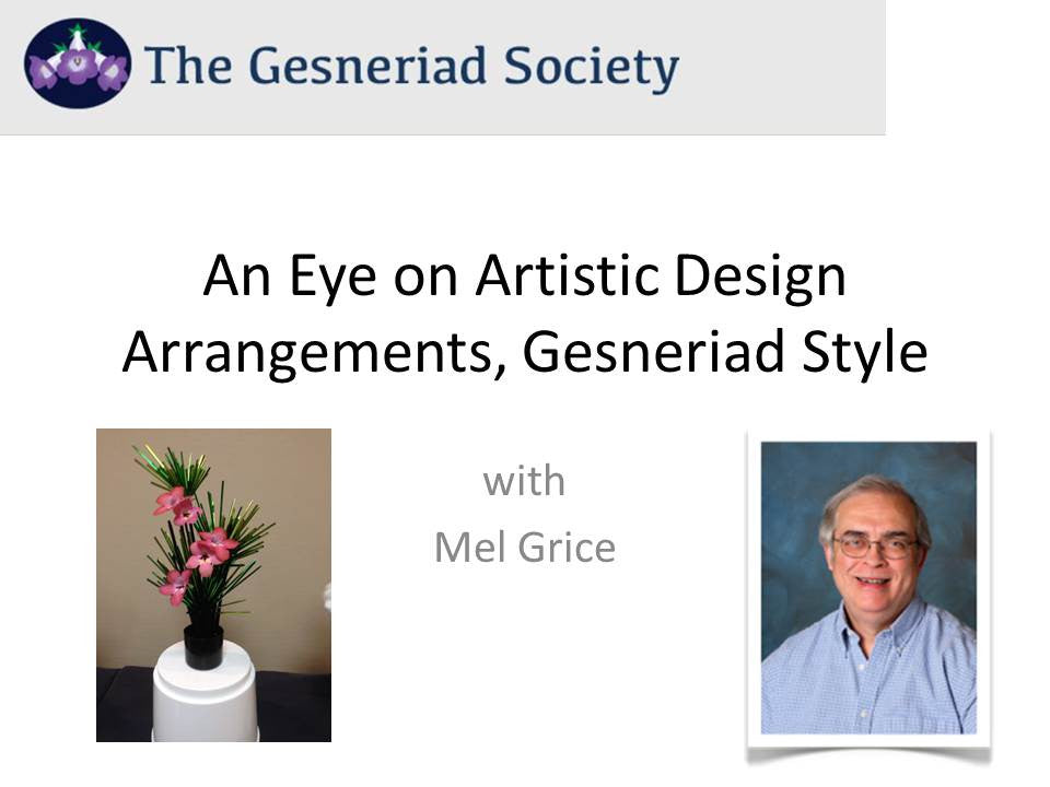 Webinar: An Eye on Artistic Design Arrangements, Gesneriad Style*