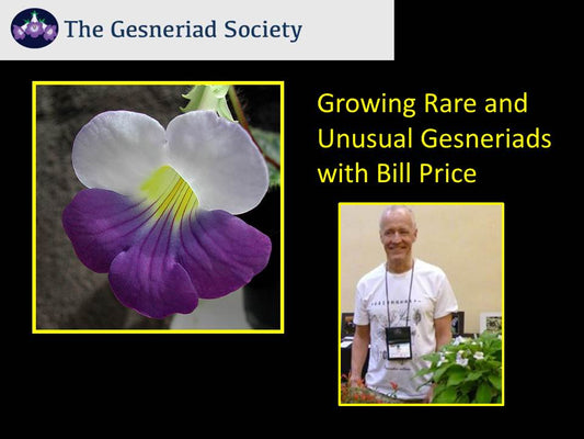Webinar: Growing Rare and Unusual Gesneriads*
