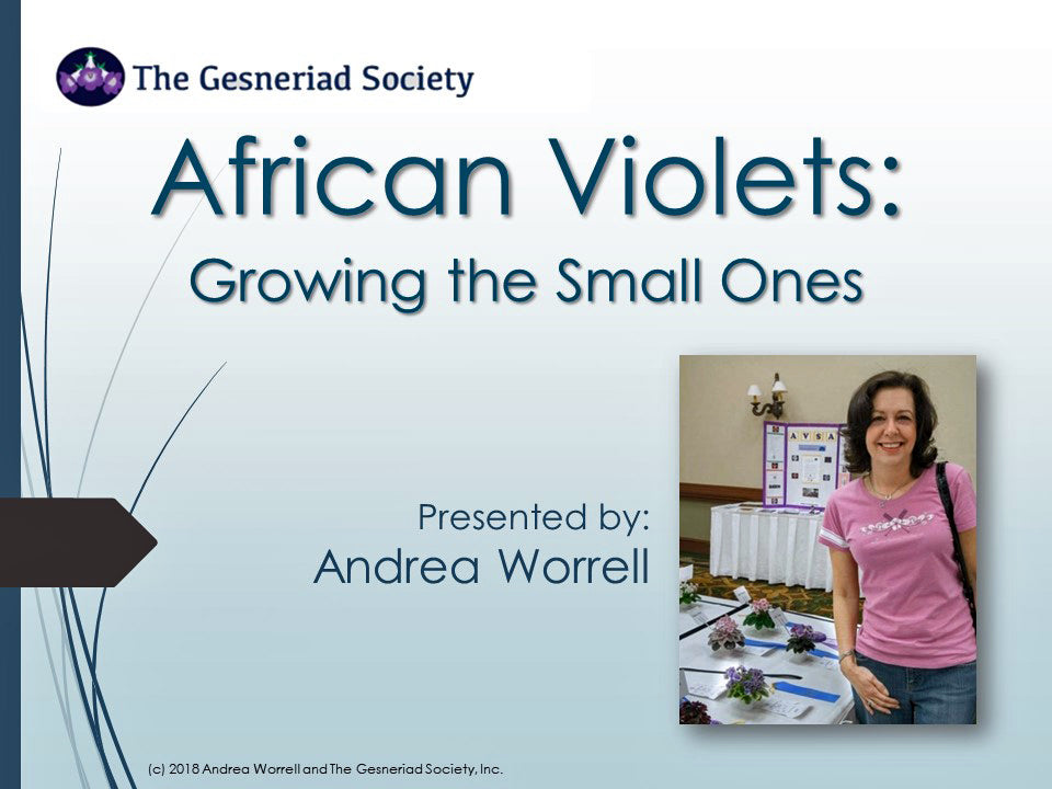 Webinar: African Violets - Growing the Small Ones
