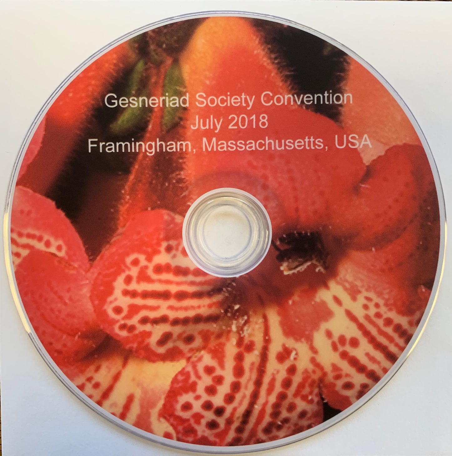 Convention 2018 DVD