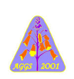 2001 Cloisonné lapel pin