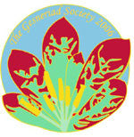 2006 Cloisonné lapel pin