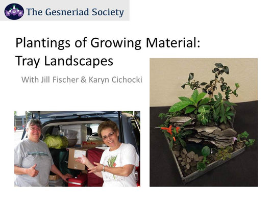 Webinar: Plantings of Growing Material - Tray Landscapes*